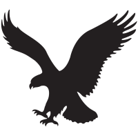Logo American Eagle Outfitters